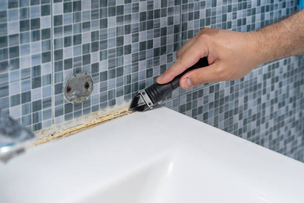 Best Mold Cleaning Services  in Diamondhead, MS