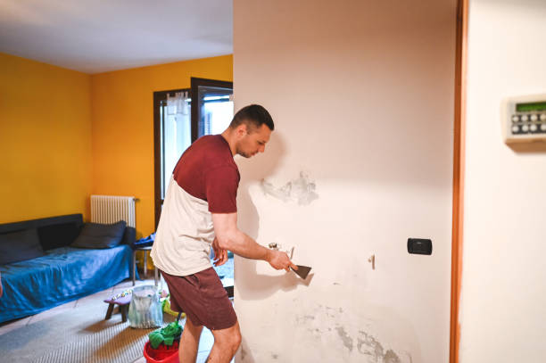 Best Home Mold Removal  in Diamondhead, MS